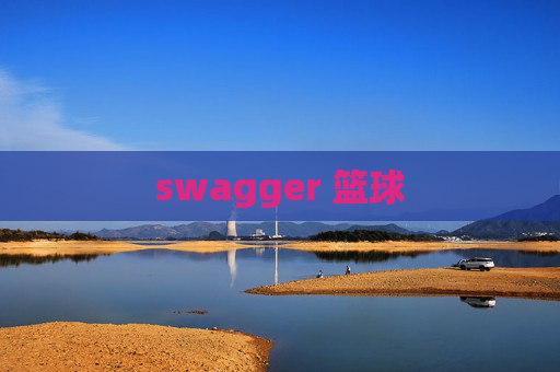 swagger 篮球 swagger 篮球